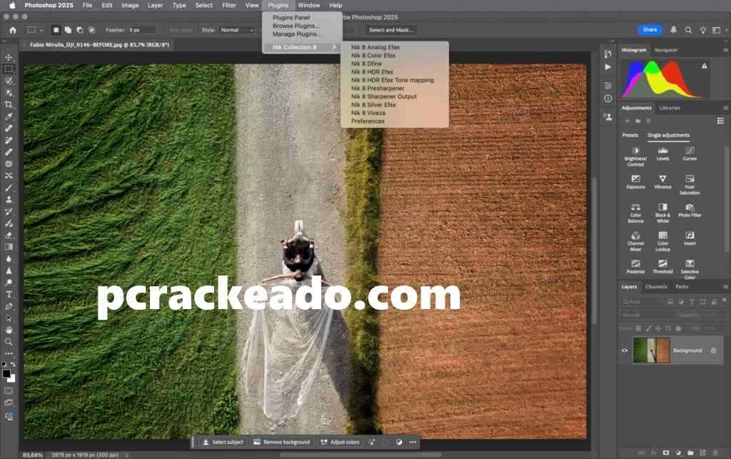 Photoshop 2024 Torrent 